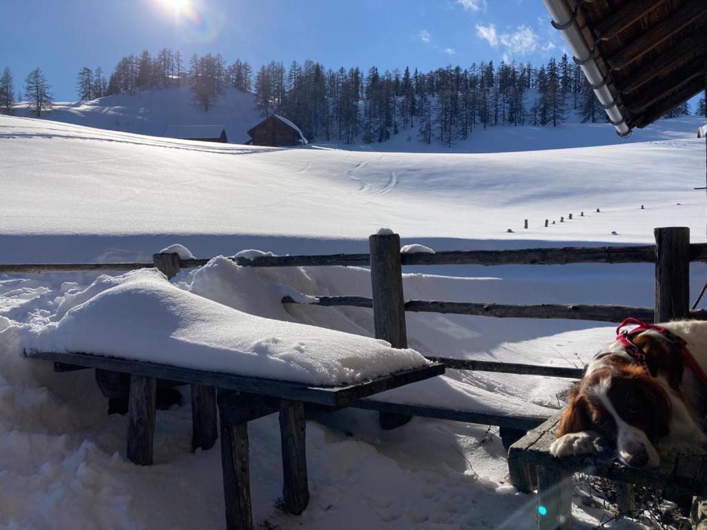 Appartementhaus Reiter Village Room Altenmarkt im Pongau Exterior foto